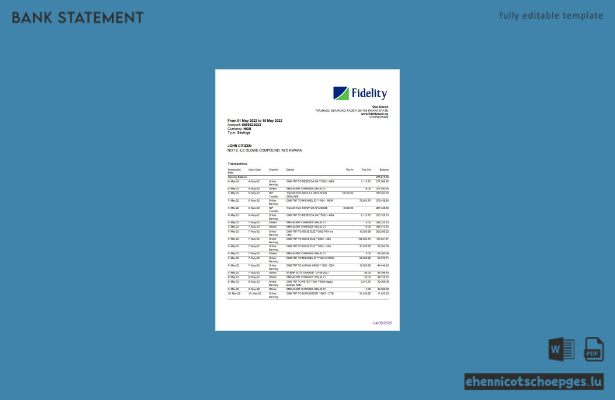 Beispiel eines Kontoauszugs der Fidelity Bank in Nigeria (Vorschau)